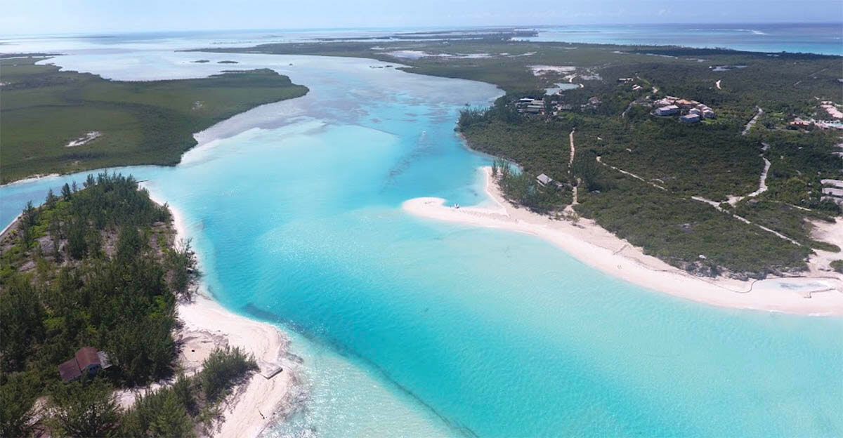 Parrot Cay