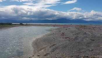 Wairau Bar