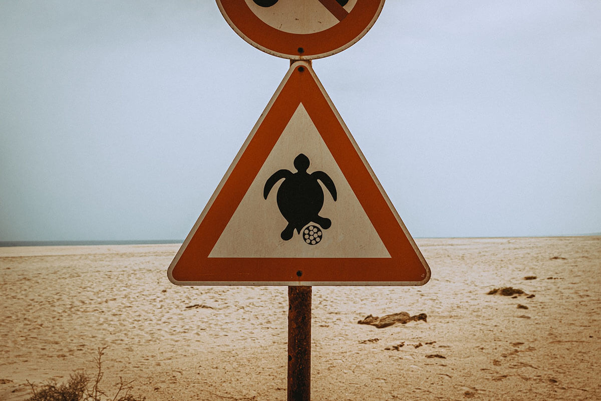 Turtle Sign Cape Verde
