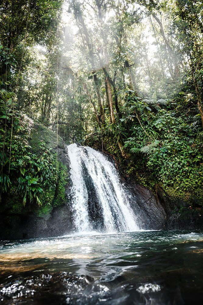 waterfall and nature