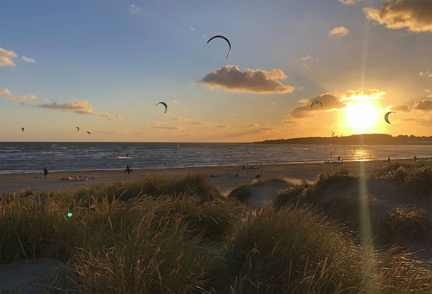 Apelviken