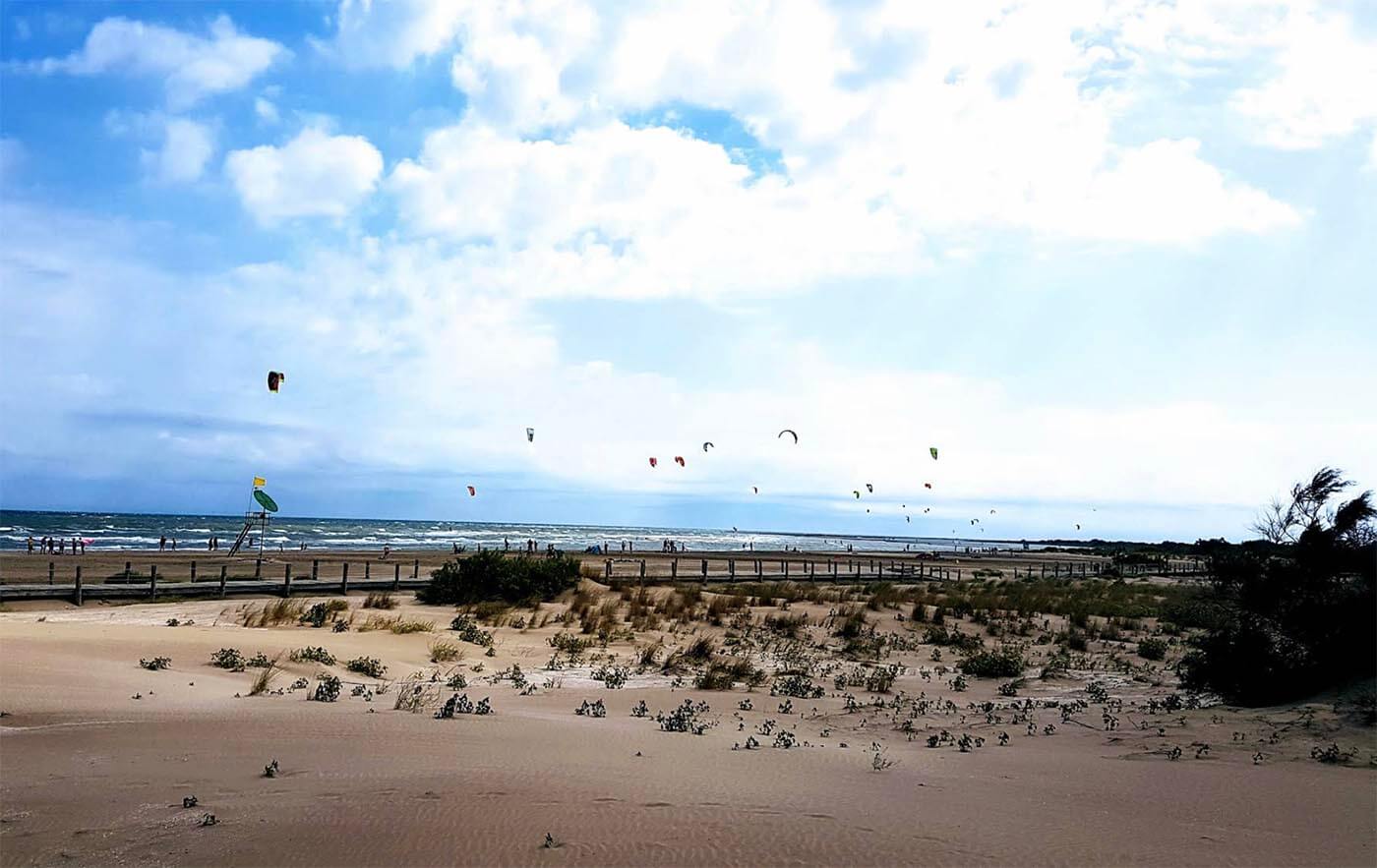 Delta Del Ebro Riumar