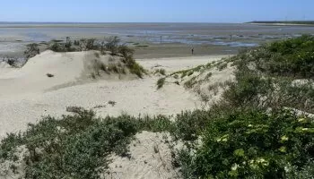 Strand Oostvoorne