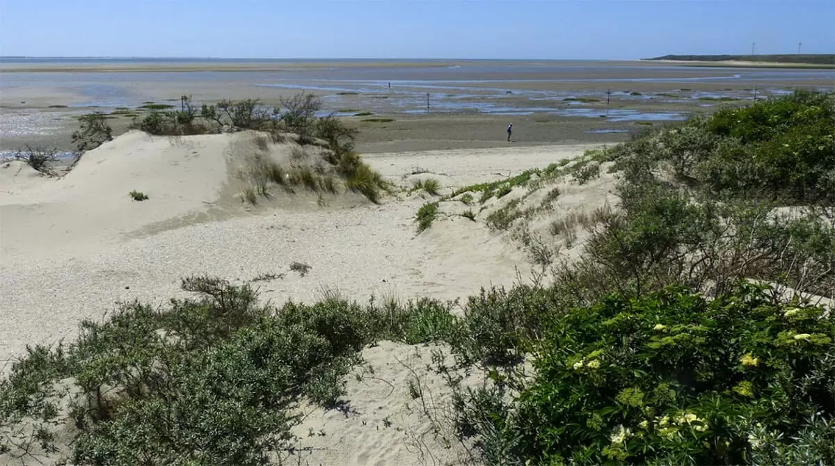 Strand Oostvoorne