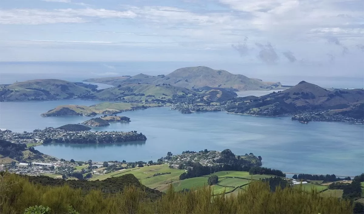 Otago Harbour