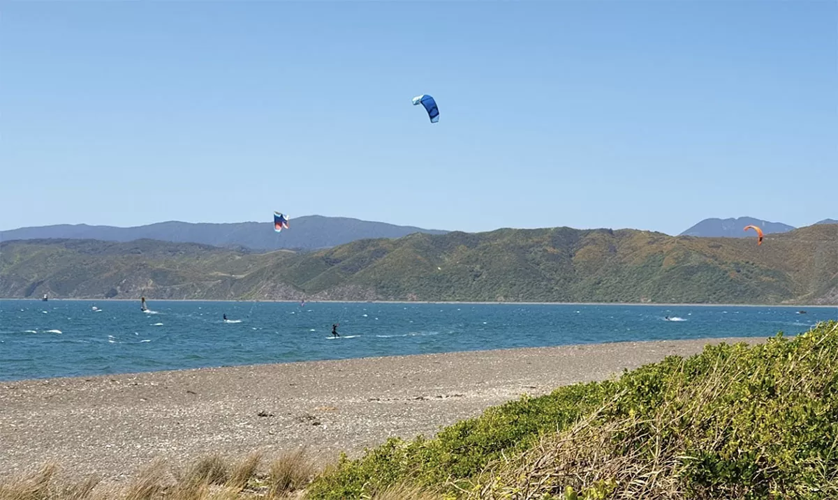 Seatoun