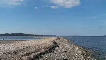 Bognæs