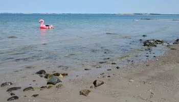 Reersø