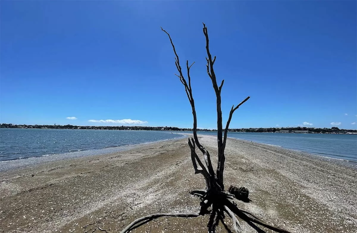 The Spit