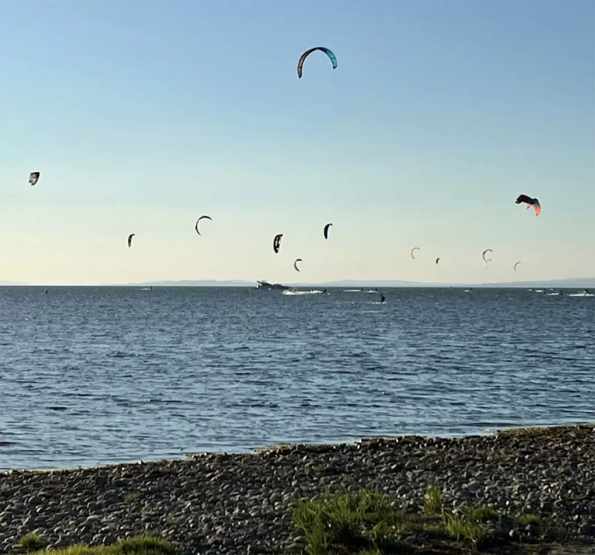Bodensee – Rohrspitz