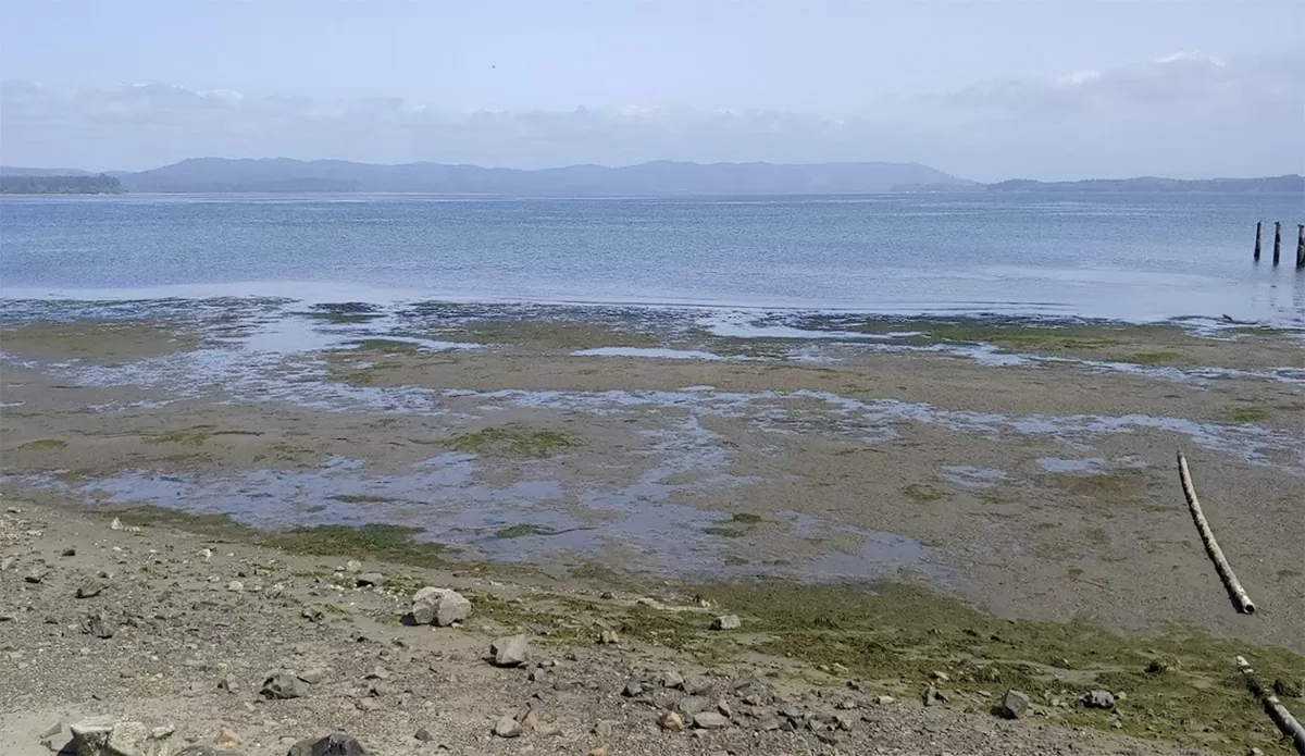 Tokeland