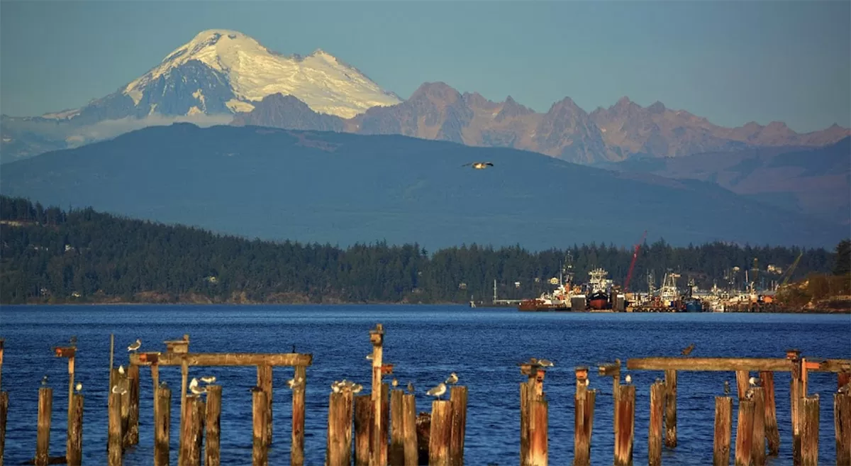 Ship Harbor