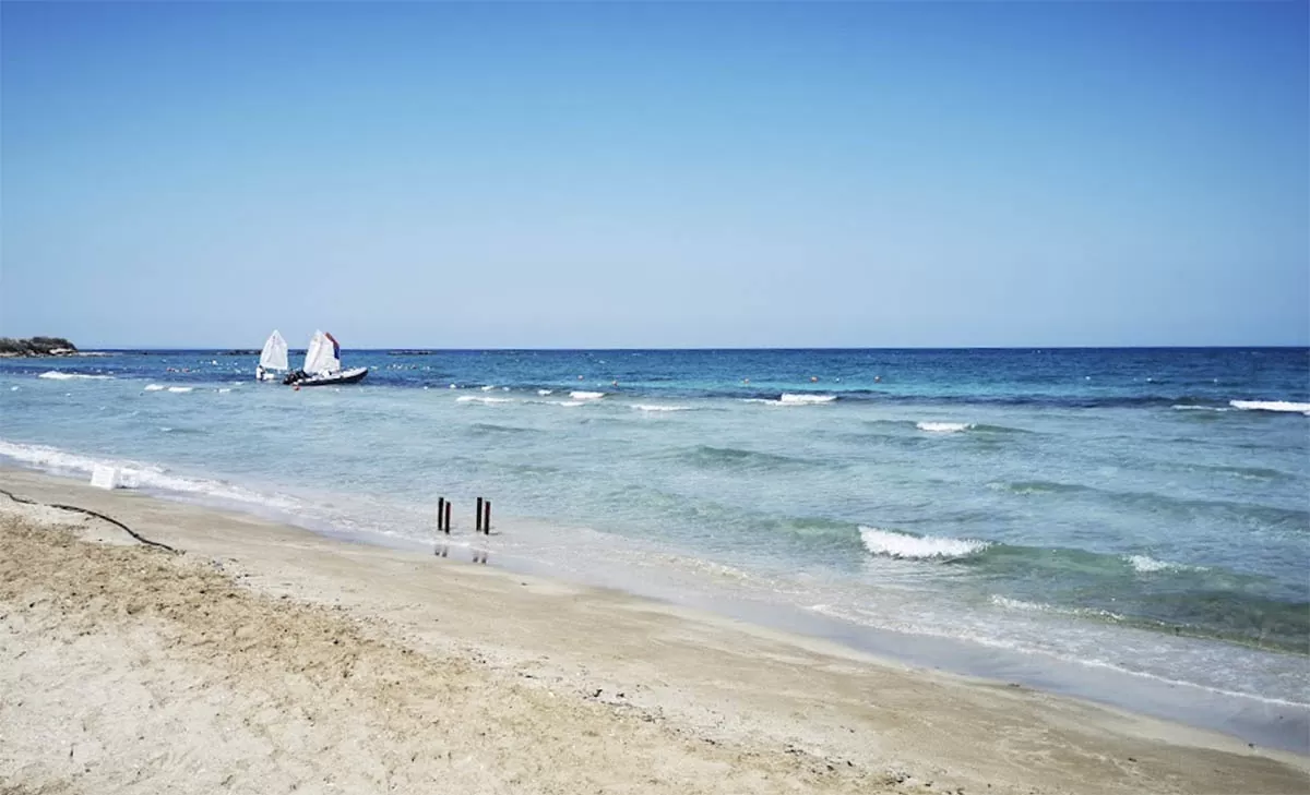Emu Beach Surf School