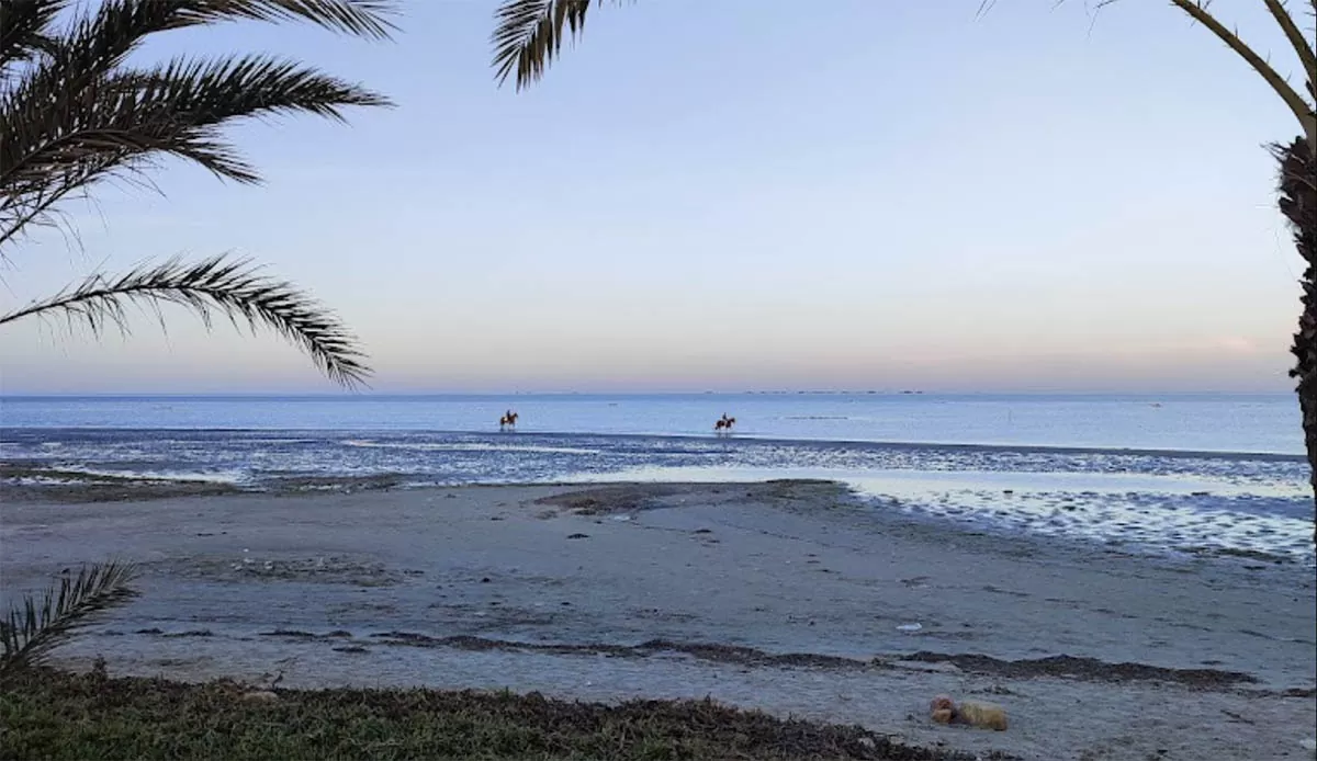 Houmt Souk, Djerba