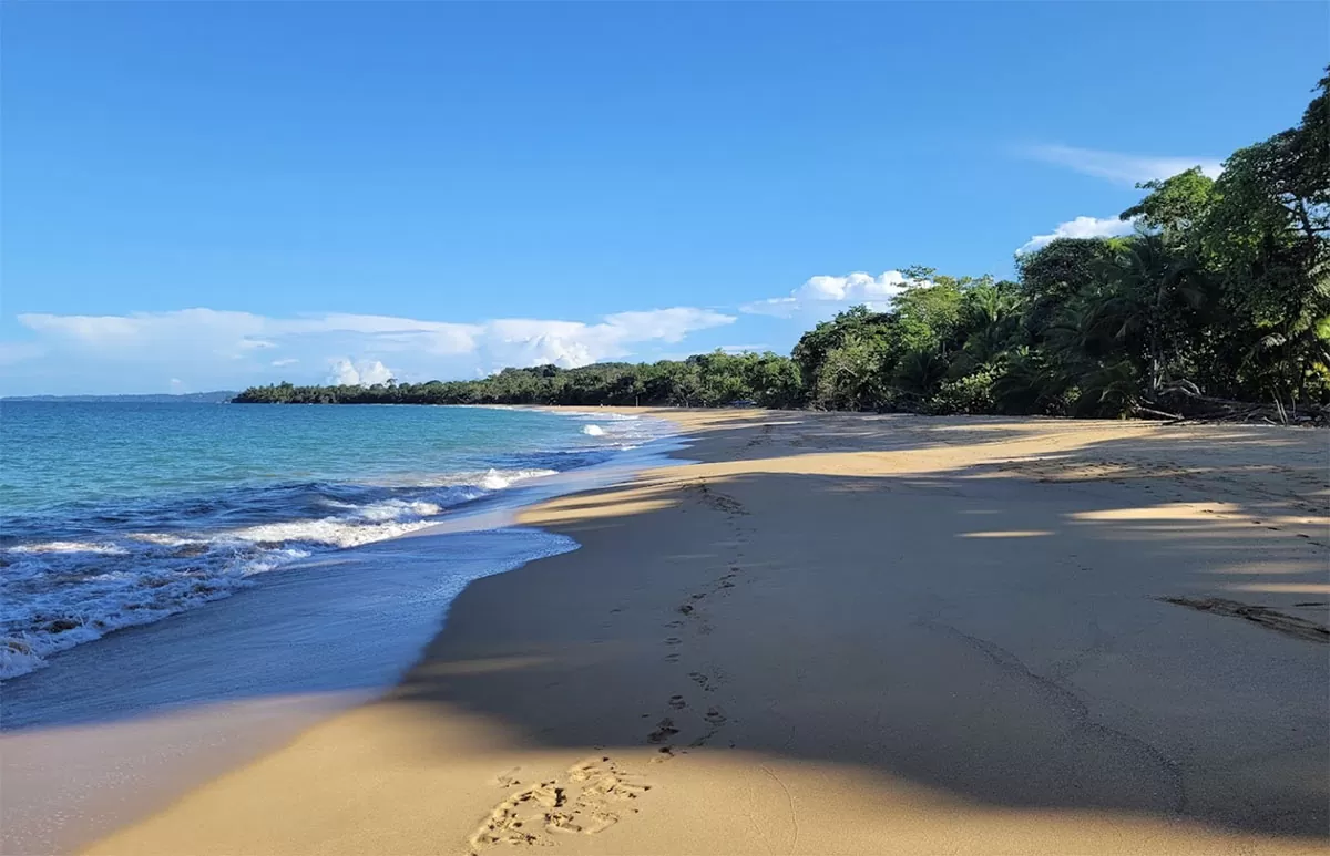 Bluff – Isla Colon