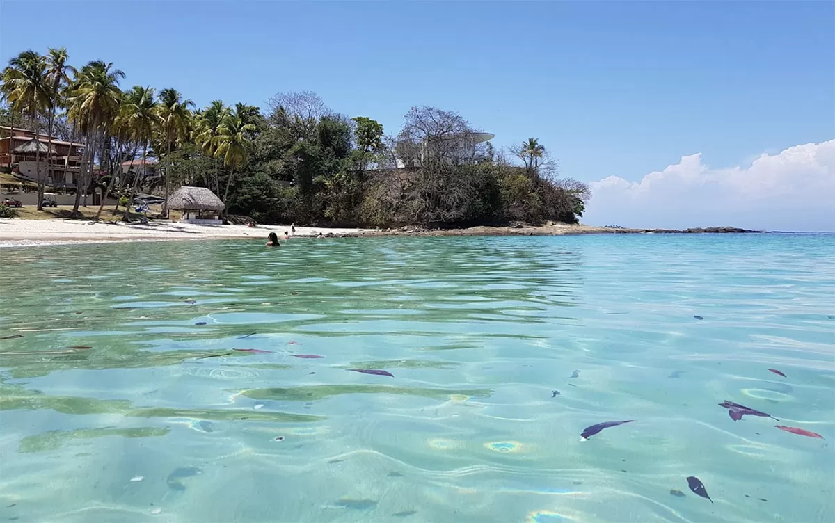 La Ejecutiva, Isla Cantadora