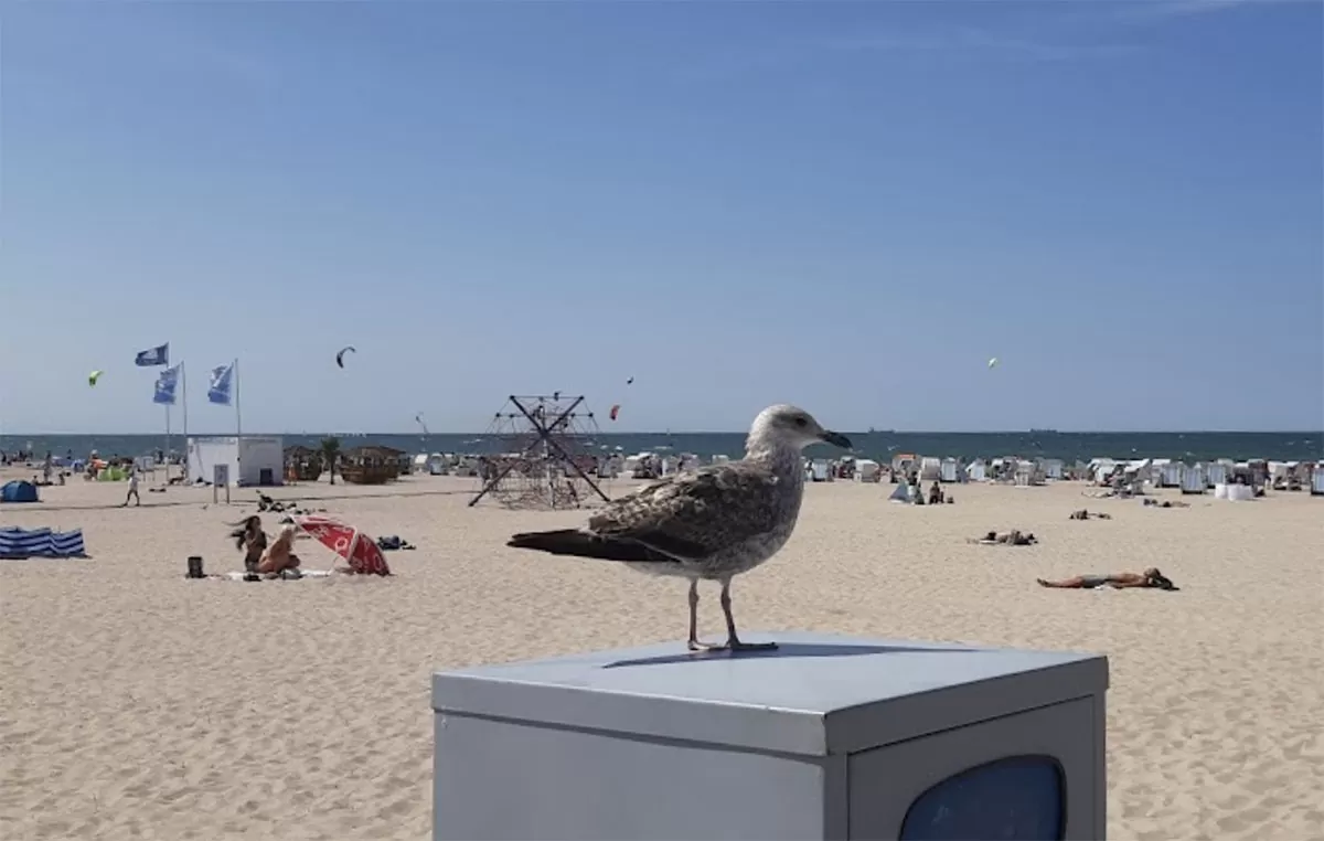 Warnemuende